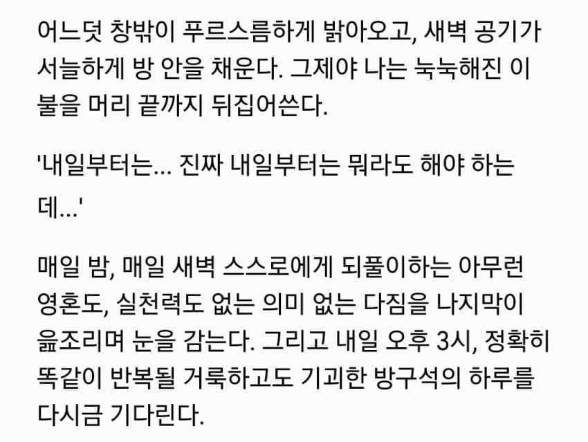 어느 반도의 쉬었음 30대 이야기 (13)