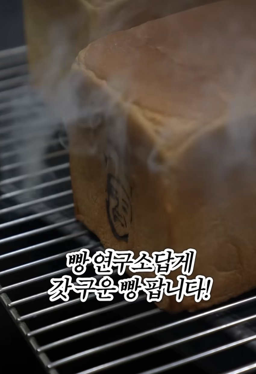 이게정상이냐???? (7)