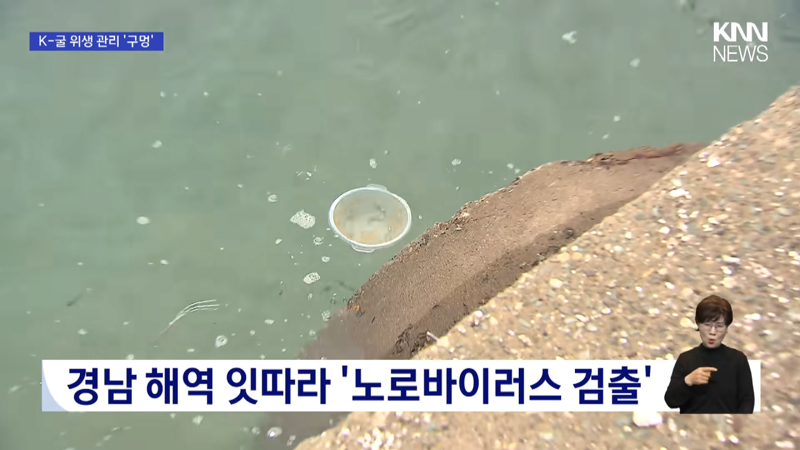 현재 심각하다는 굴 전량 폐기 사태 (3)