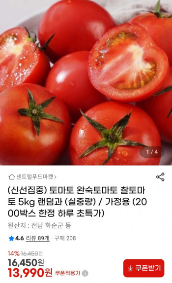 [지마켓] 토마토 완숙 찰 토마토 쥬스용 5kg