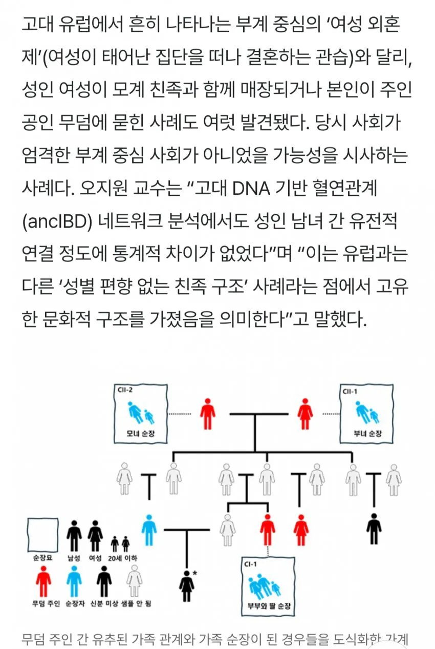 4.webp 충격적인 신라시대 근친과 순장 연구결과