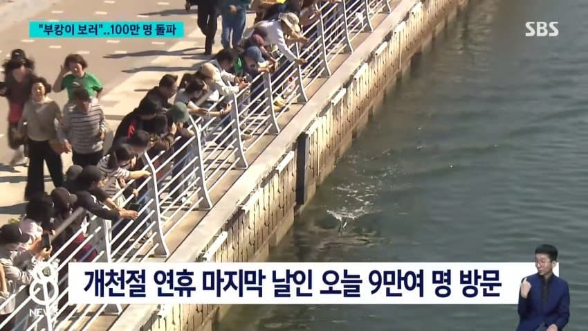 부캉이 보러... 결국 누적 100만명 돌파 (5)