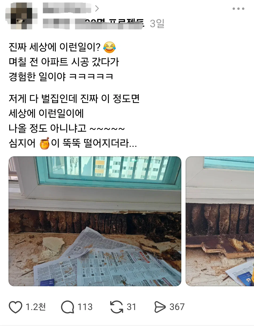 아파트 인테리어 하러갔다가 벌집만난 시공업자