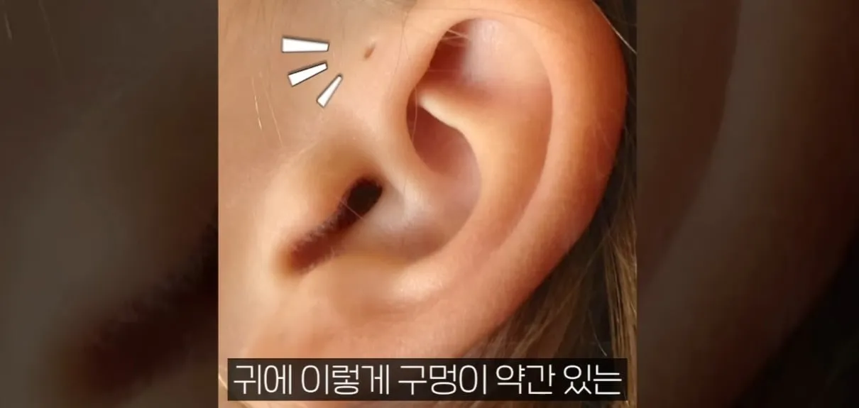 사람의 귀가 아가미에서 진화했다?