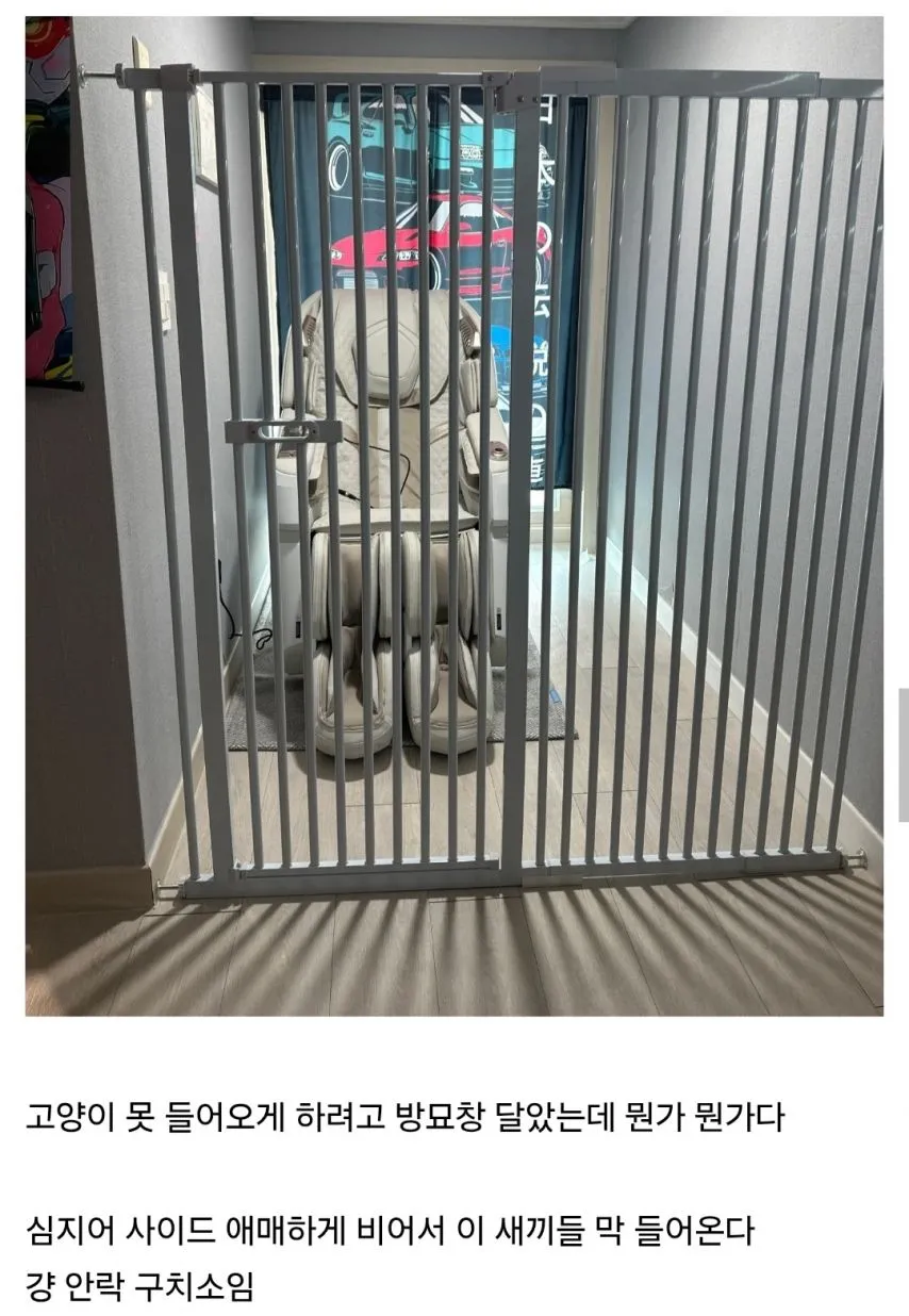 큰 맘 먹고 안마의자 삼.jpg