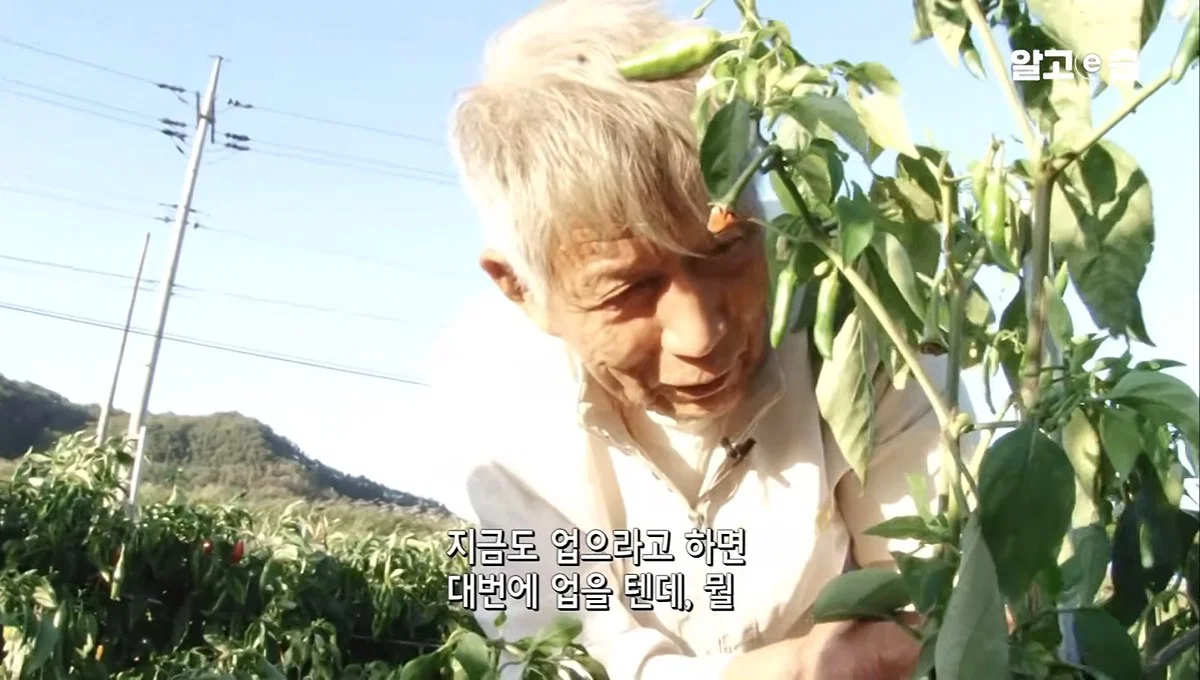 역시 사랑받는 여자는 티가난다 할머니 표정이 처음부터 끝까지 밝으시네 (11)