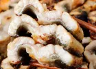 고창 자포니카 민물장어 1kg (손질 후 700g)
