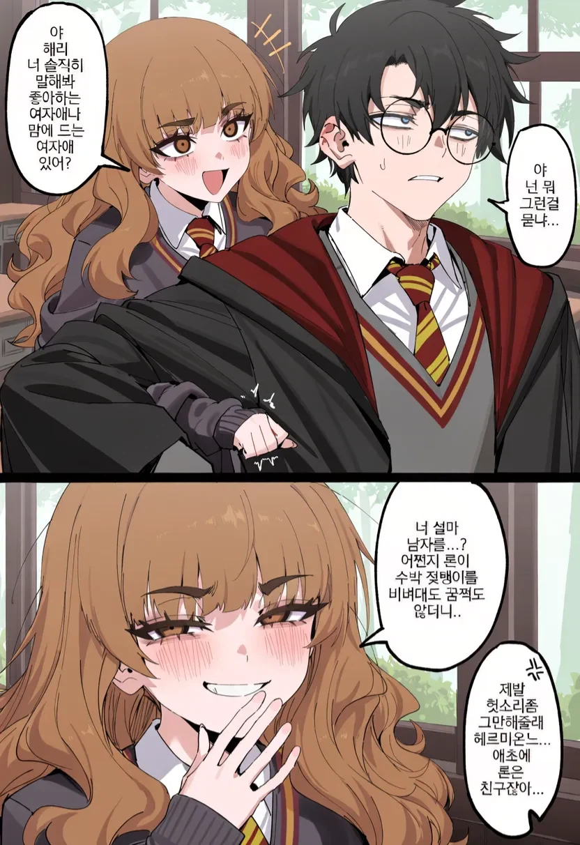 ㅆㄸ) 해리포터에게 이상형을 묻는 만화.manhwa