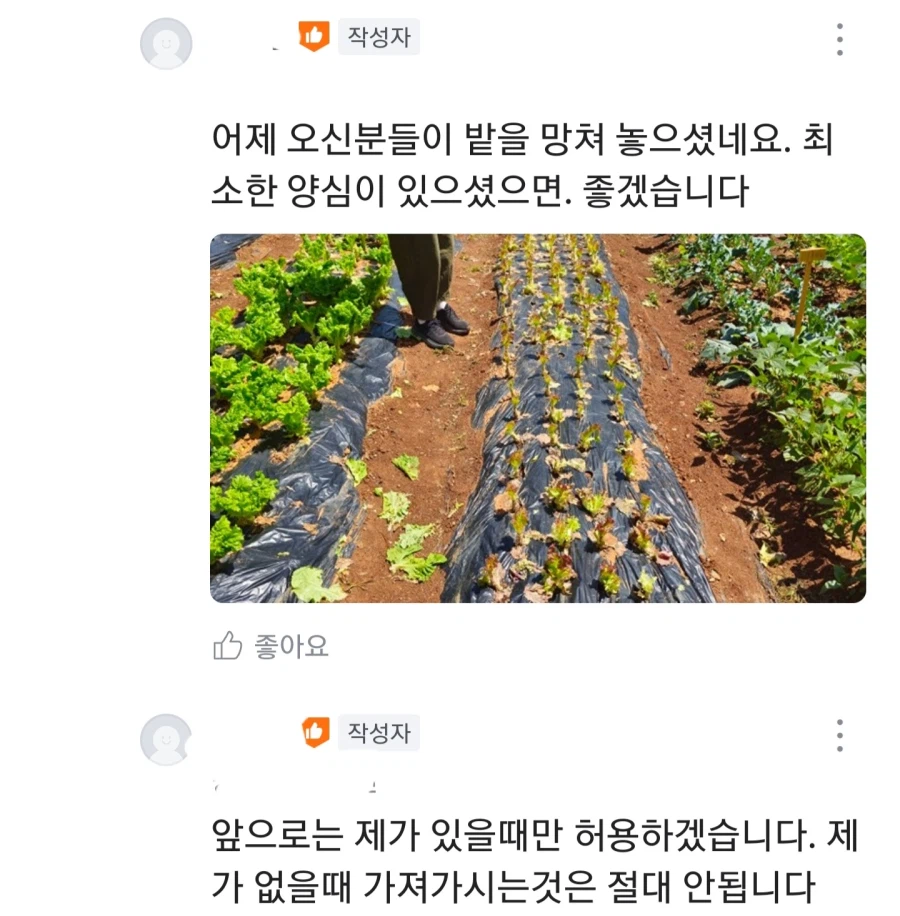 울동네 무료나눔 수준 (4)