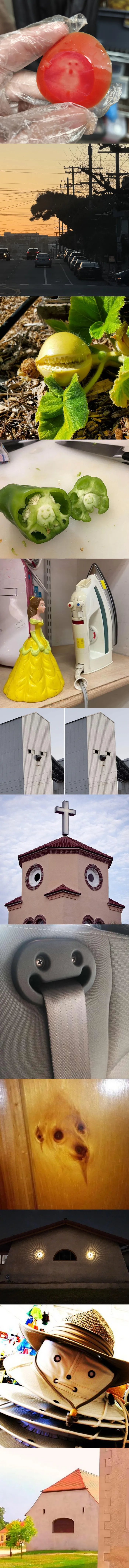 다른 것처럼 보이는 것들