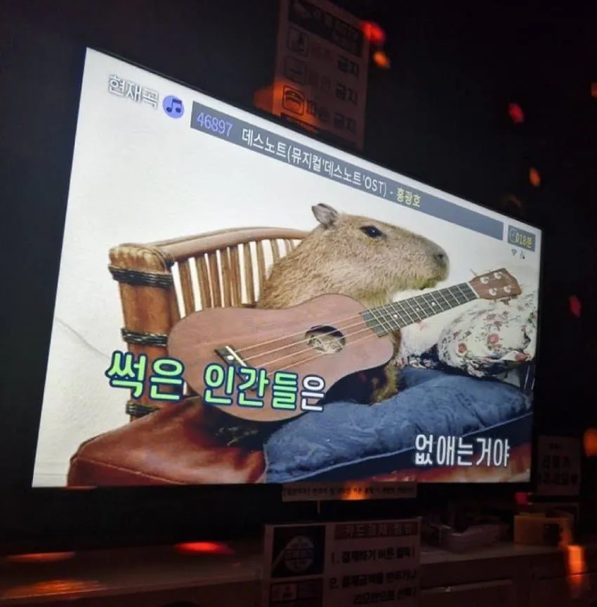 왁자지껄 우당탕탕 지구촌