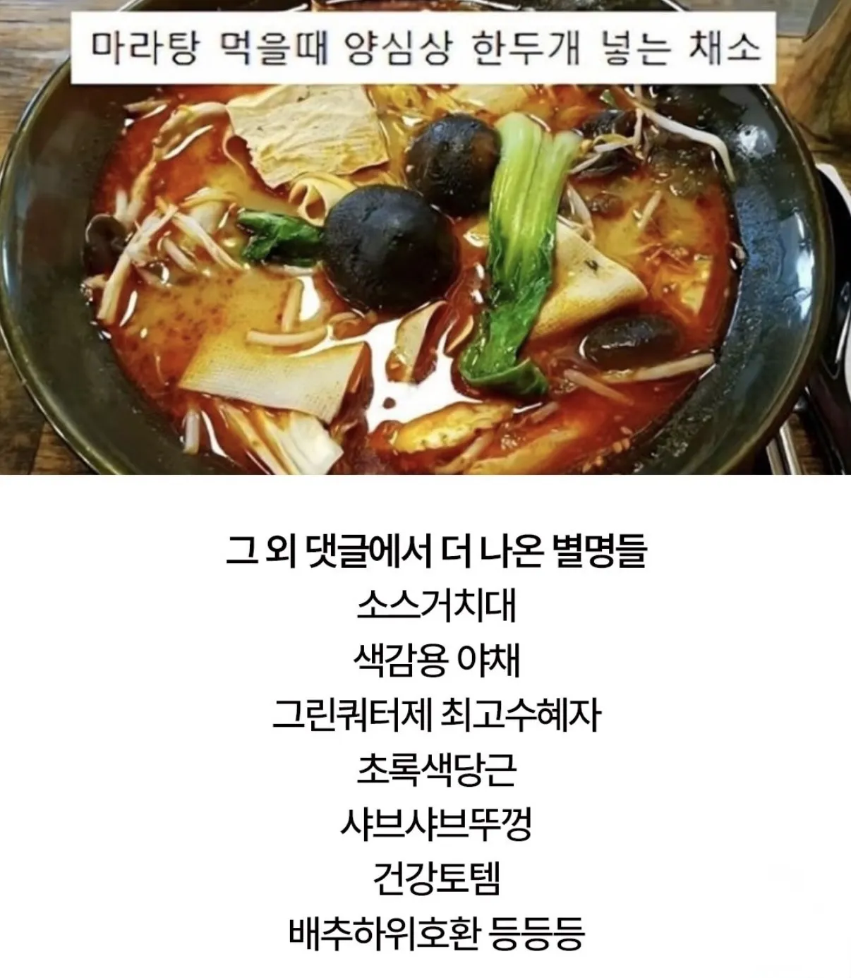 청경채의 모욕적인 별명들 (3)