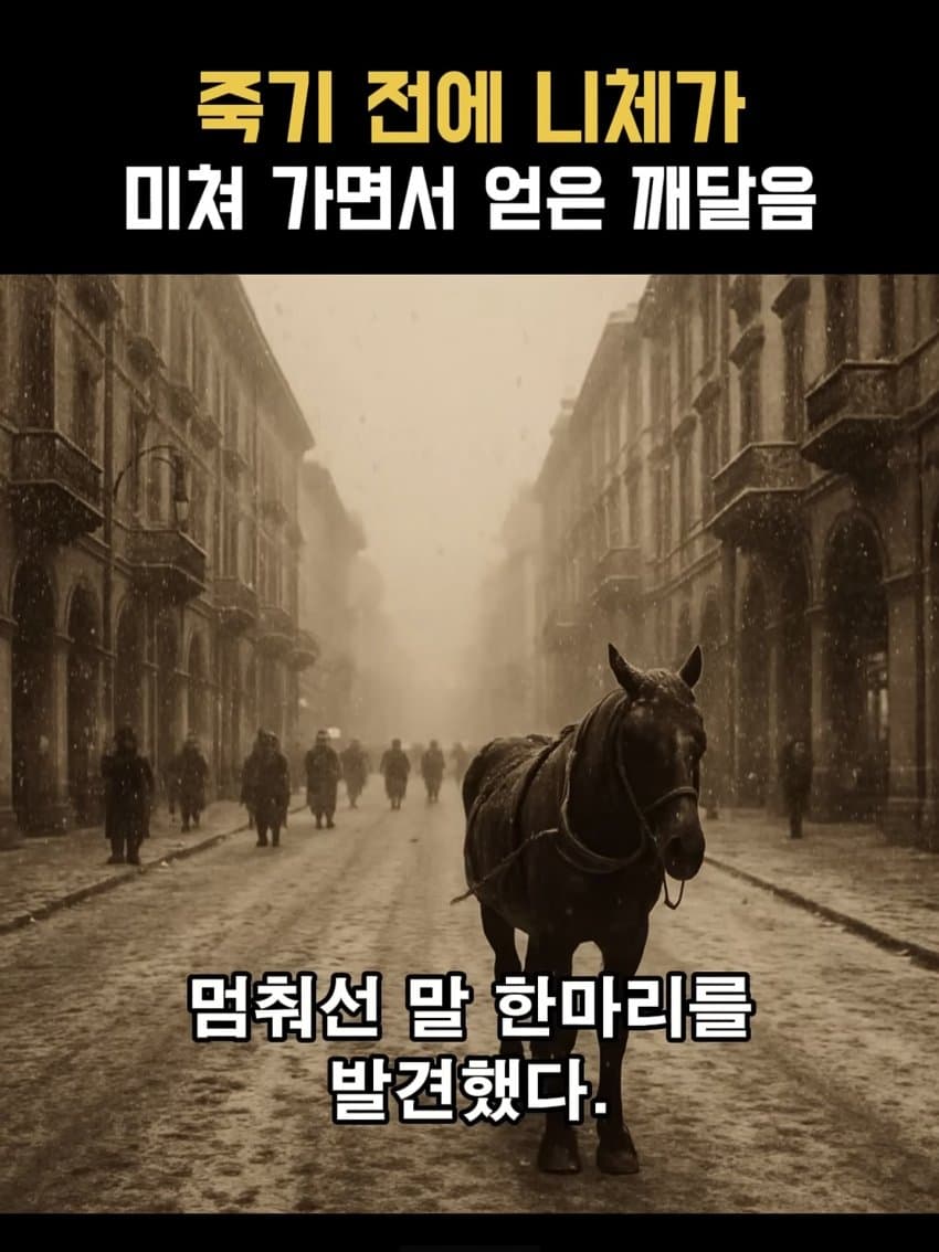 ㅂㅅㅂㅅ 니체가 죽기 직전에 미친 이유 (3)