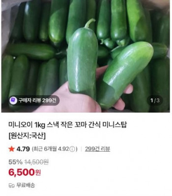 [네이버] 미니오이 1kg