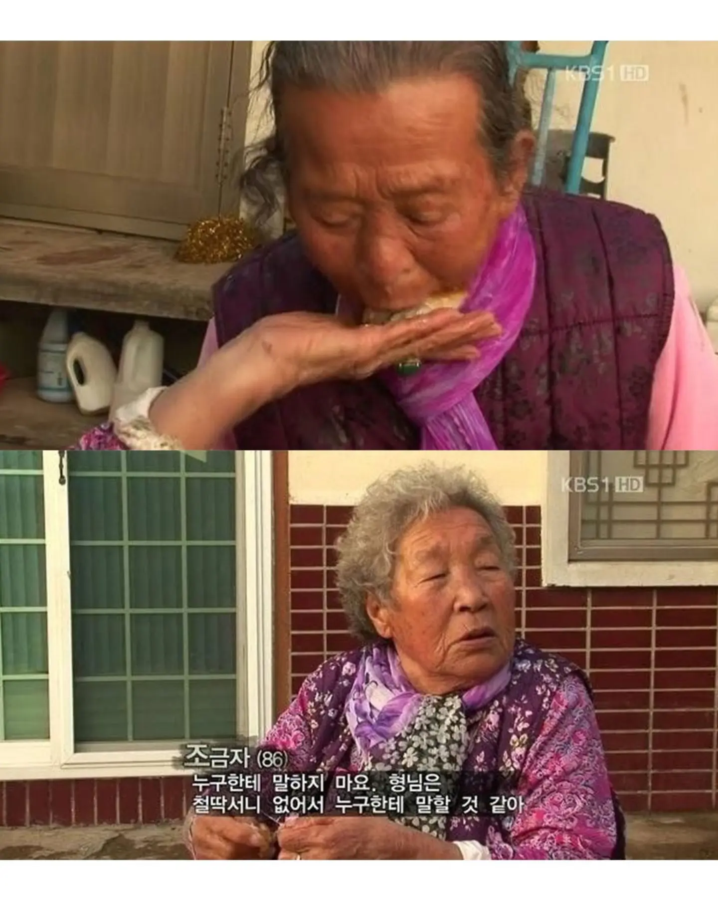 고양이가 생선 안 훔치게 지켜보라 부탁받은 할머니 (7)