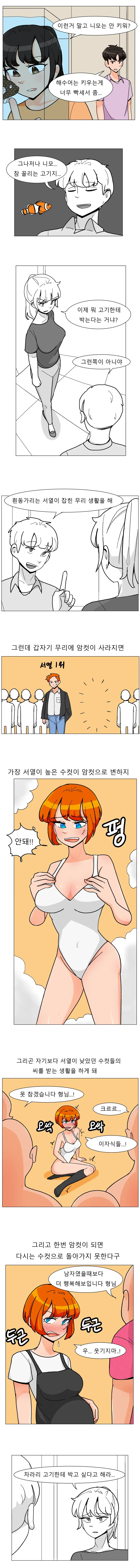ㅇㅎ) 친누나가 야한 주제를 꺼내는.manhwa (2)