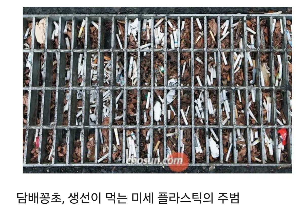 흡연자들이 흡연충이라고 욕먹는 이유 (18)