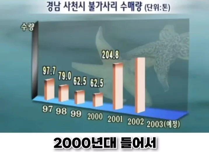 우리나라로 넘어온 바다의 무법자 불가사리의 최후 (11)