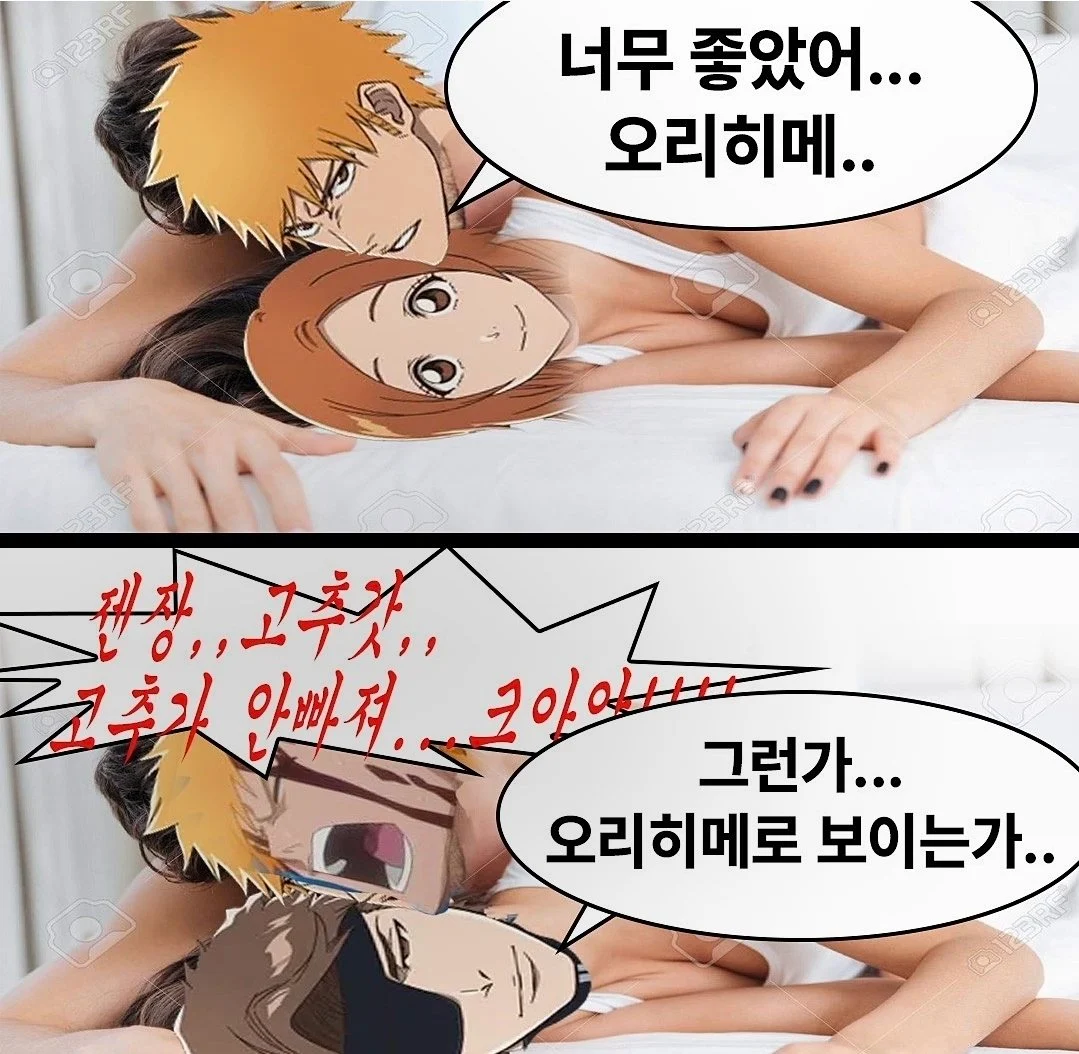 오리히메랑 야스하는 이치고 짤 만든 사람이 만든 짤들