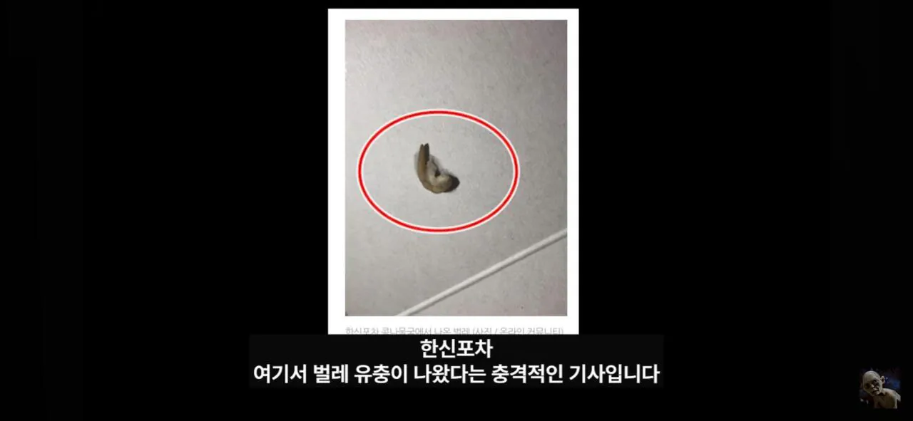 더본코리아 고소에 무혐의 유튜버 '탐코'가 말하는 백종원과 위생 (18)