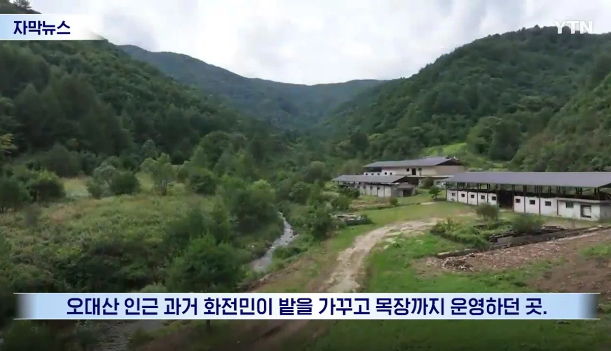 수십억 들여 숲 사놓고 아무것도 안한 이유 (5)
