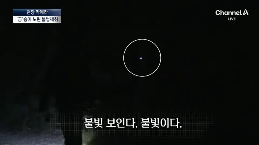 채널a) 송이버섯 1kg에 160만원...밤낮 추격전 (14)