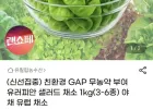 유러피안 샐러드 1kg (3~6종)