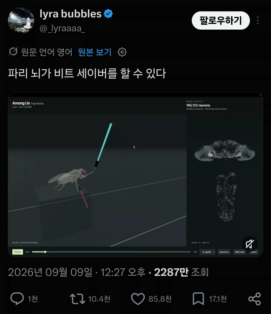 인간의 광기를 보여주는 초파리 뇌 신경망 활용 근황 (12)
