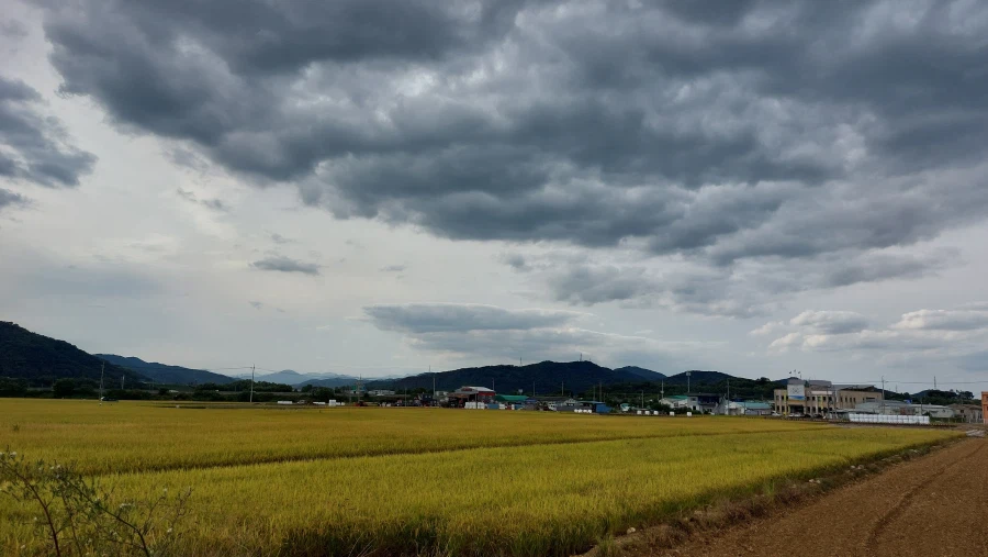 시골 살 때 ㄹㅇ 무시 못할 장점 (7)