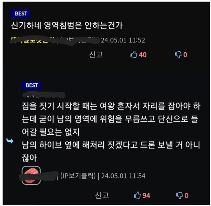 말벌 헌터 (3)