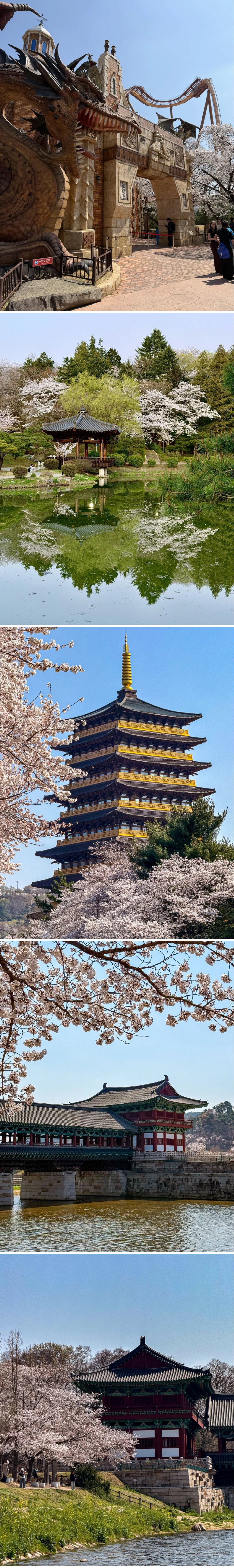 외국인들이 찍은 경주 사진 (2)