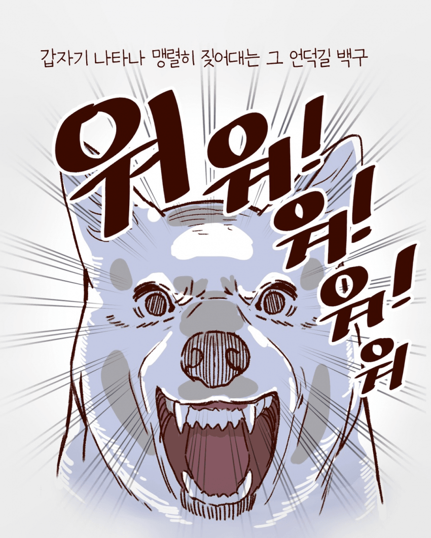 싱글벙글 우리동네 용감한 백구 이야기 (13)
