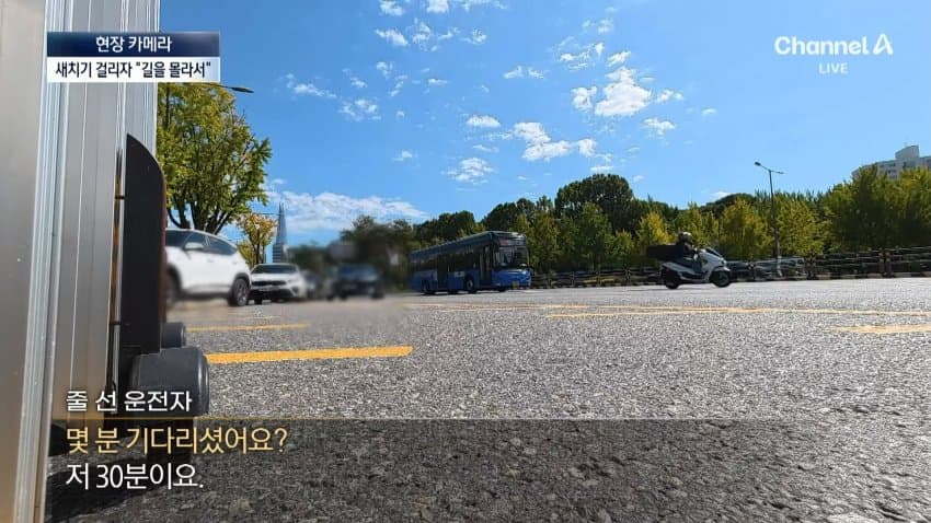 채널a) 차 머리부터 '쑥'..야구장 앞 얌체들 (29)