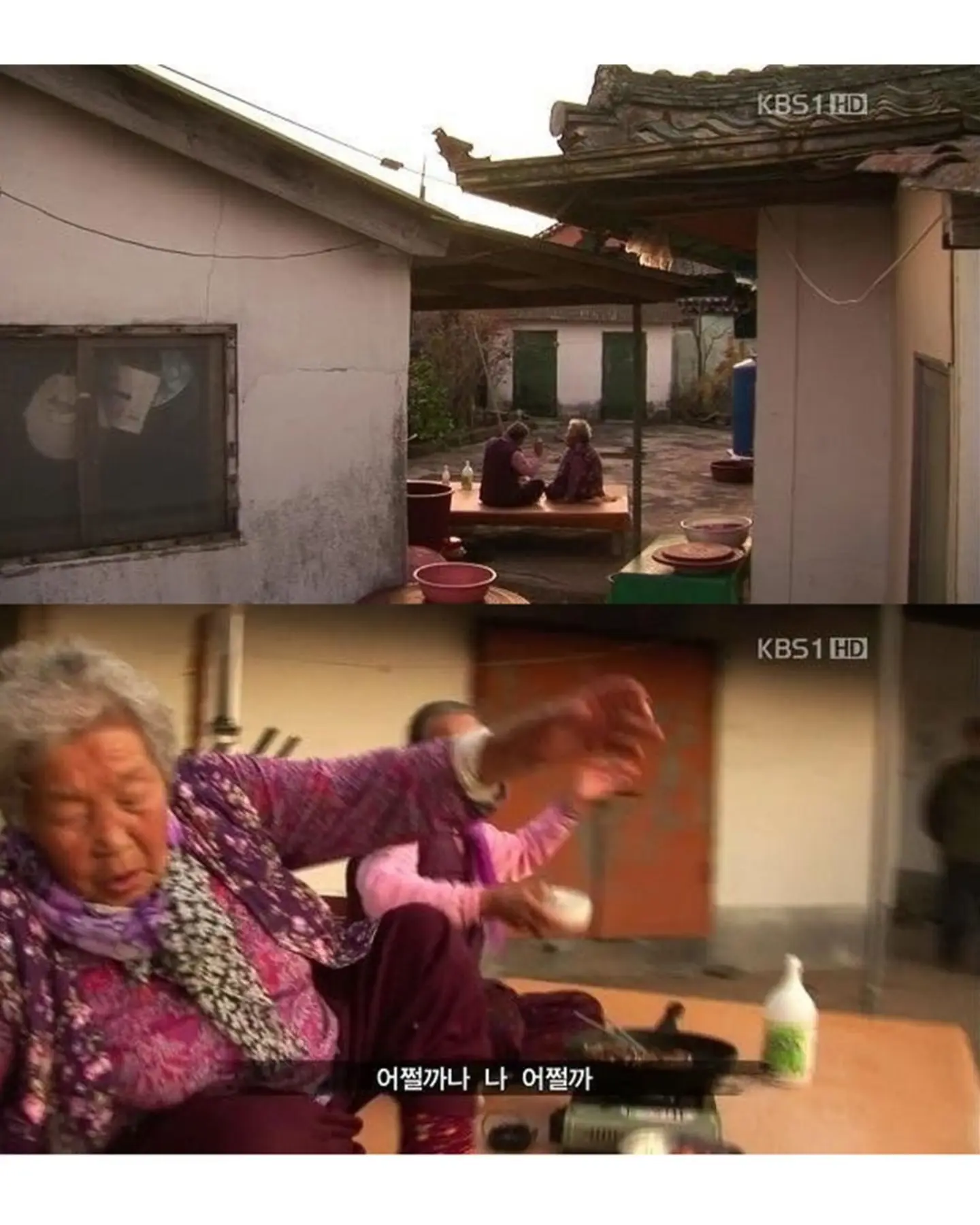 고양이가 생선 안 훔치게 지켜보라 부탁받은 할머니 (14)