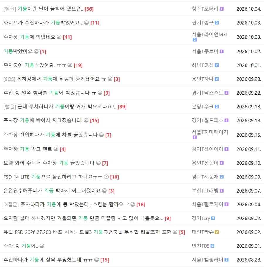테슬라 오너들이 경기 일으키는 단어 (2)