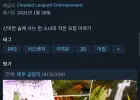 메르헨 포레스트 90%