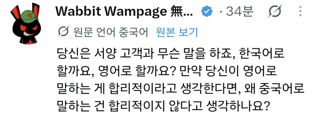 왜 한국여행와서 번역기나 영어 안쓰고 중국어만 쓰냐는 말에 발작난 중국인들 (8)