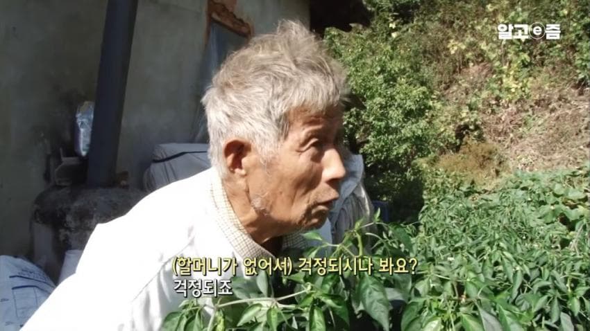 낭만낭만 90 평생 할매만 귀여워 하는 할배 (13)