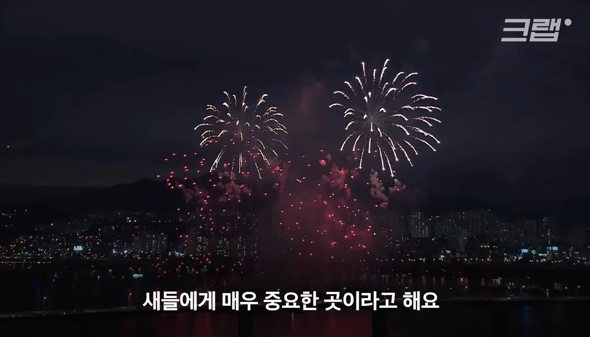 새들에겐 거의 전쟁난 수준이라는 불꽃축제 (48)