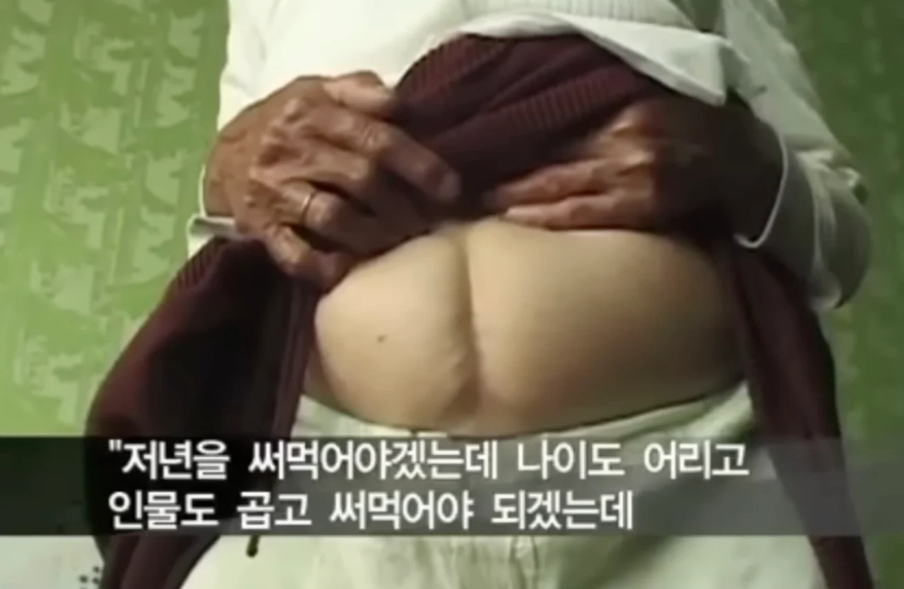 북한의 일본군 성노예 피해자 증언 (28)