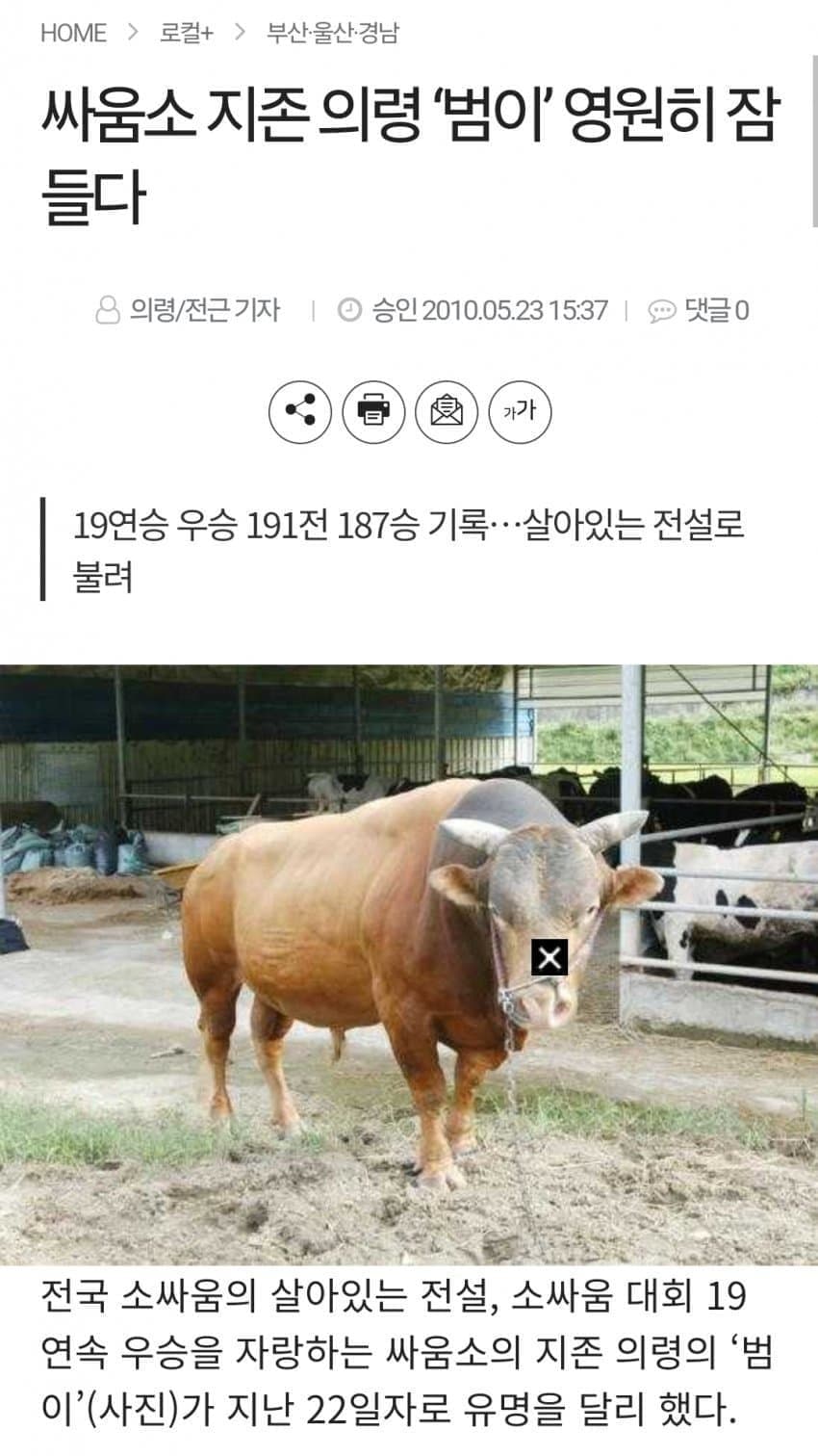 싱글벙글 의외로 동물 복지인거 (3)