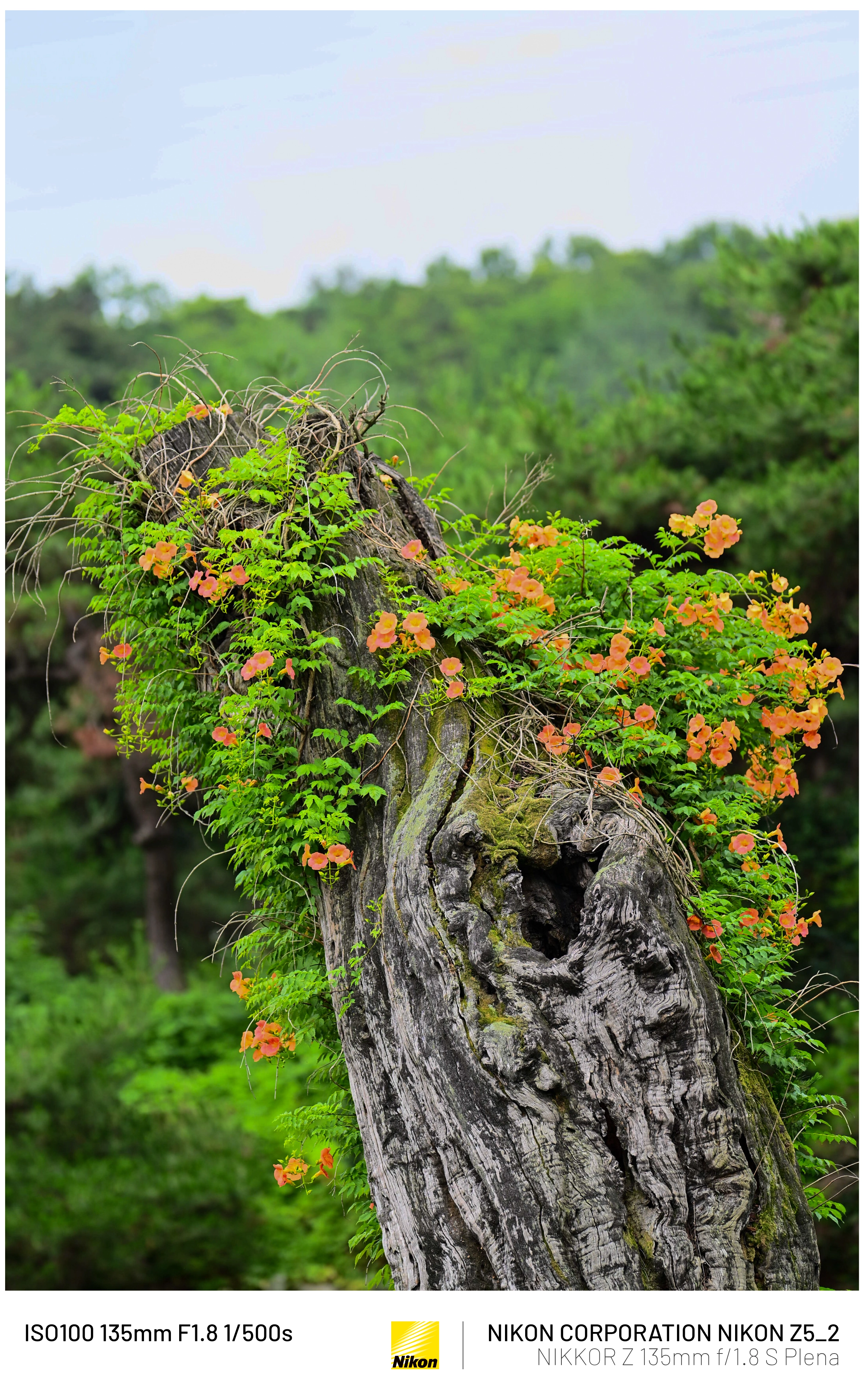3분기 결산 (50장)