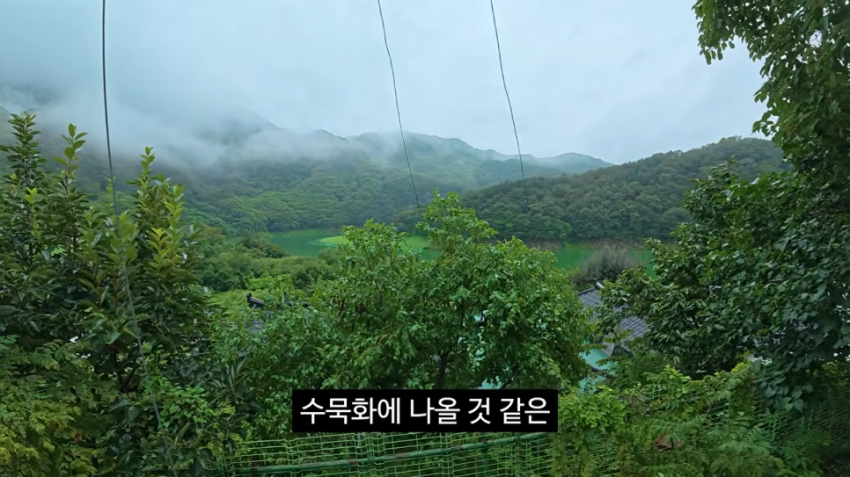 충주 즉흥여행 떠난 김선태 새 영상.. (5)