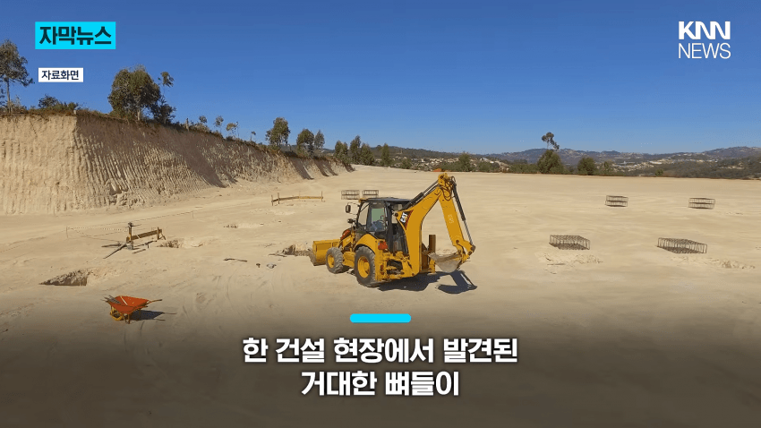 공사장에서 1억 년 전 초대형 공룡 발견