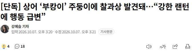 싱글벙글 부캉이 근황