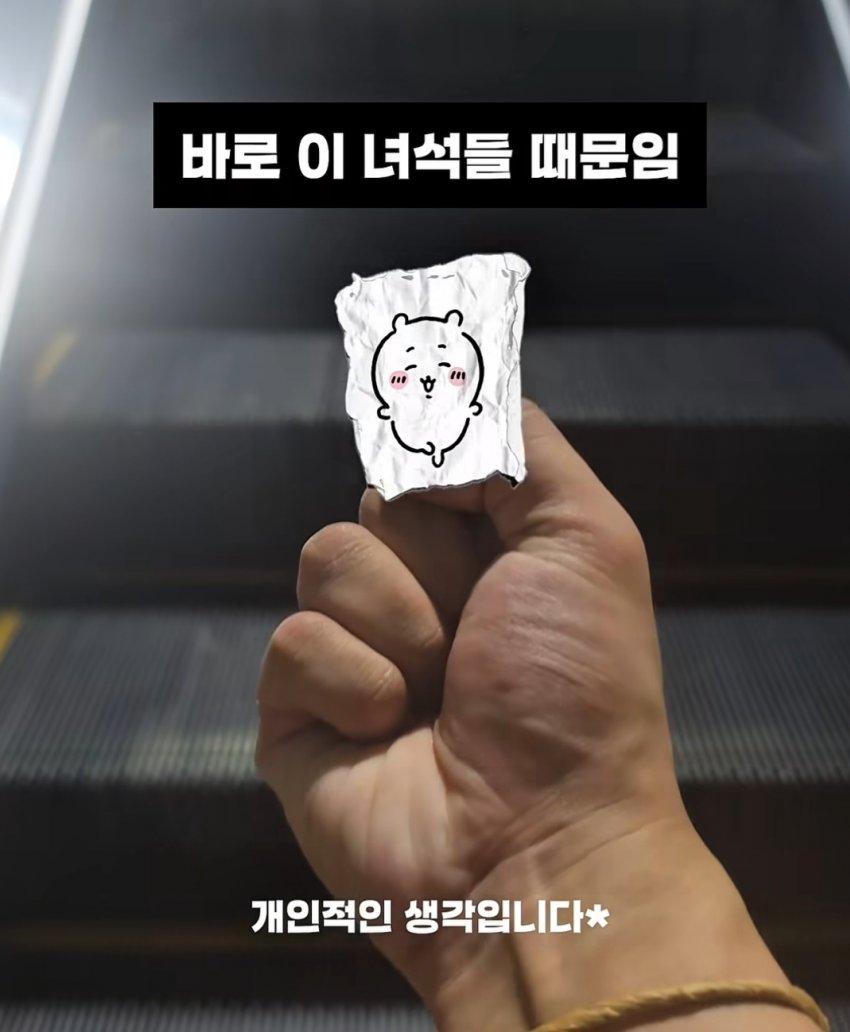 되팔이들 전부 치이카와로 갔다는거 구란줄알았는데 (2)