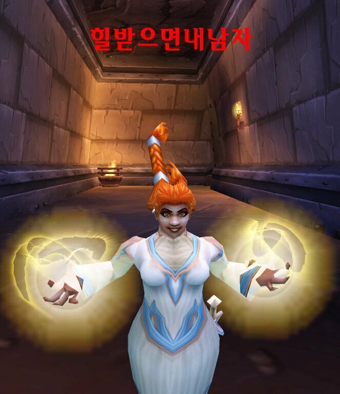 와우 힐러 레전드