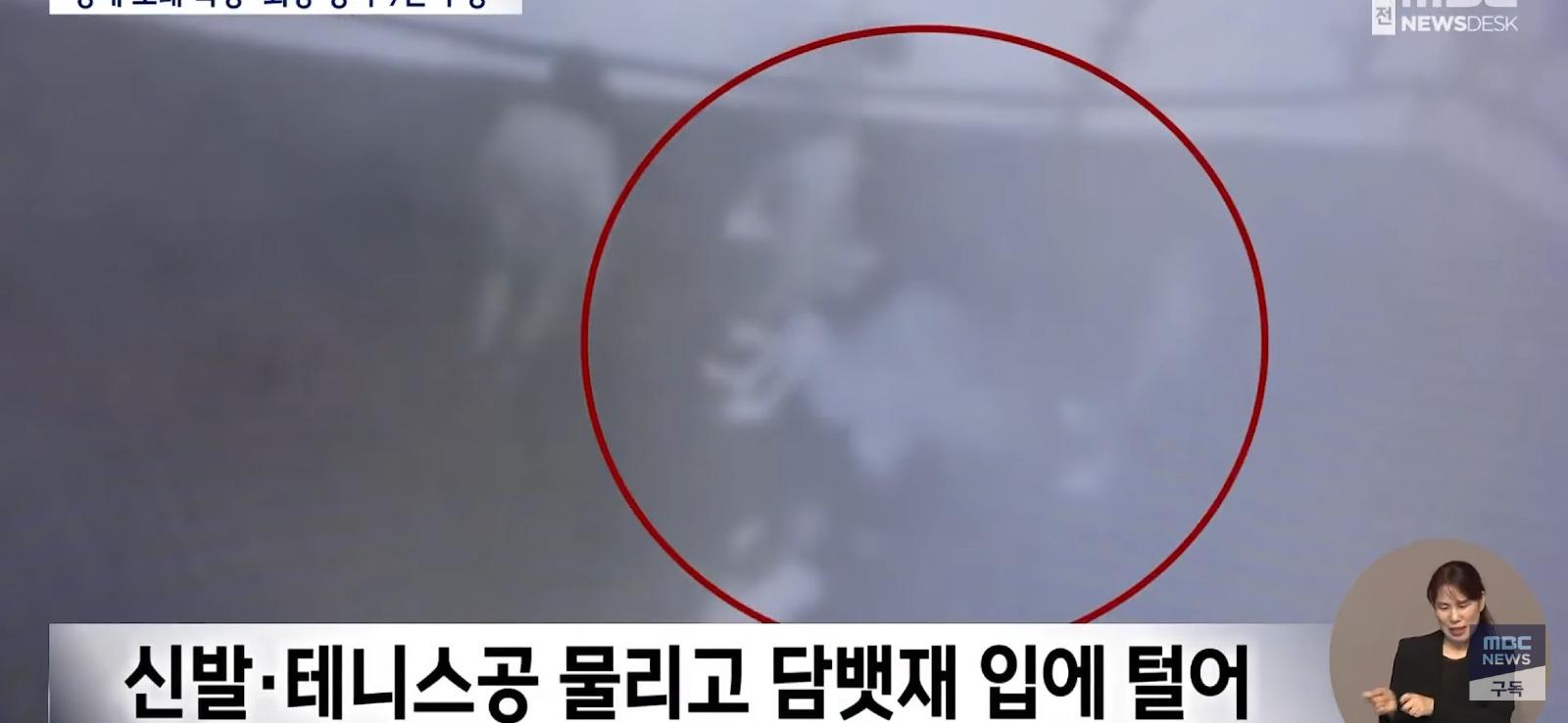 학폭 가해자 부모가, 판사에게 하는 말 (5)