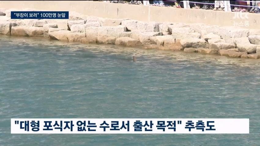 부캉이 보러... 결국 누적 100만명 돌파 (34)
