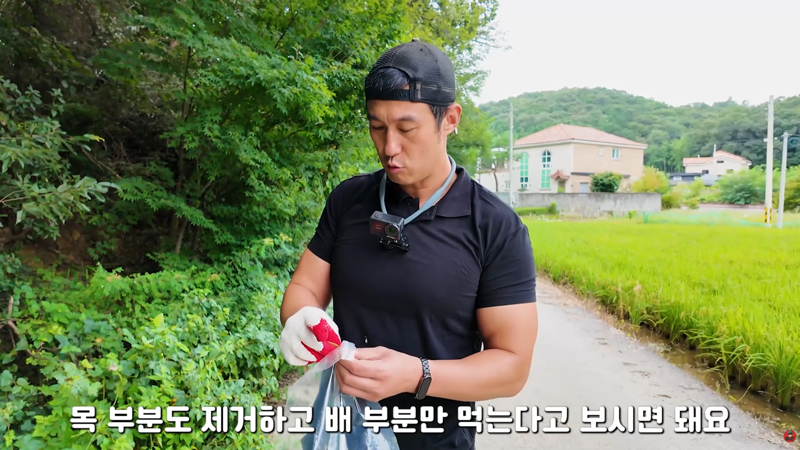 사마귀 먹는 방법 알려주는 유튜버 (6)